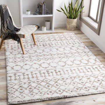 Bright room scene with a Monarch Cream&Tan Trellis Plush Rug, woven chair, bookshelf, and wood floors. Roomscene-Rectangle