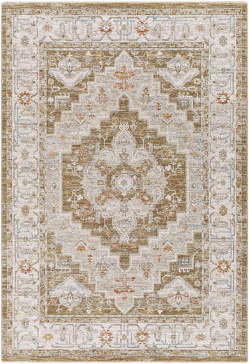 Close-up of Canadensis Thick Luxe Traditional Turkish Rug in brick red, charcoal, and beige with an oriental pattern. Design-Rectangle-575