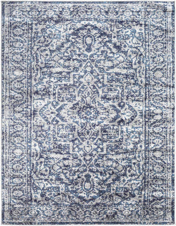 Detailed texture of a navy, charcoal, and light gray Costigan Traditional Navy Rug. Design-Rectangle-710103