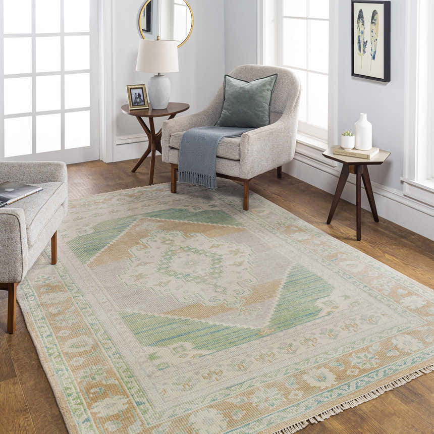 Living room scene with a Danao Premium Rug in cream, dusty pink, ice blue, and light sage. Traditional style with modern furniture. Roomscene-Rectangle