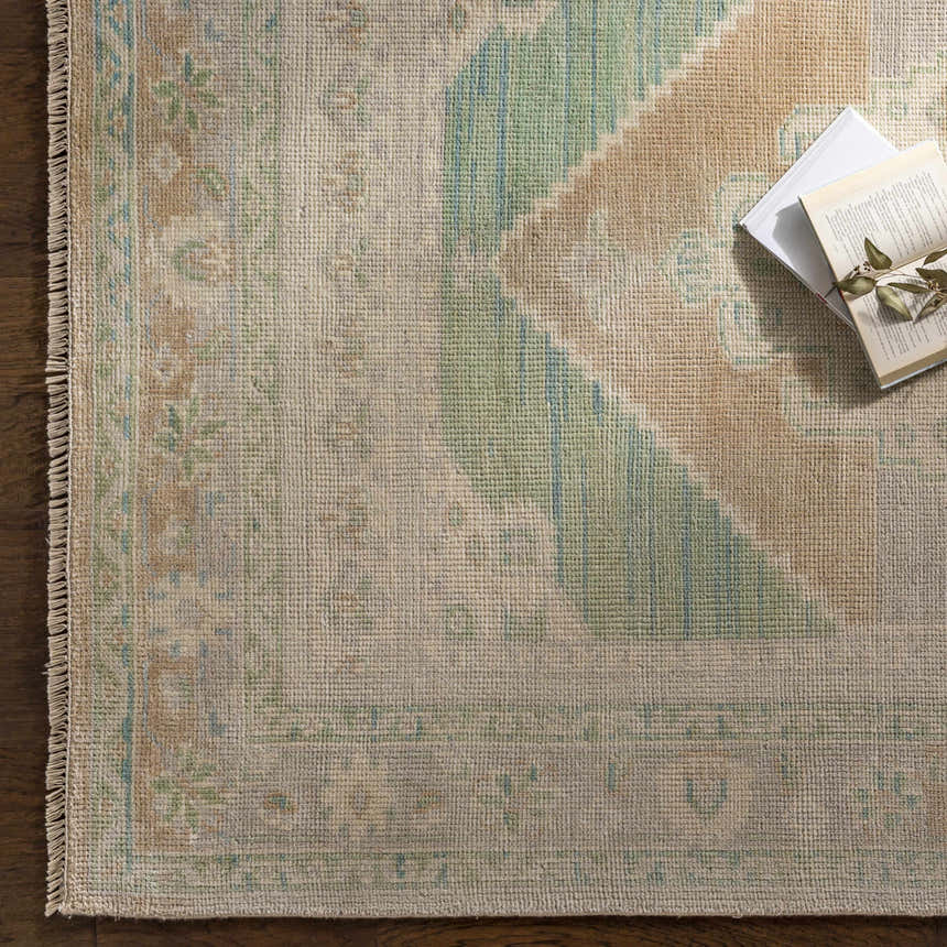Close-up of a hand-knotted Danao Premium Rug. Cream, light sage, ice blue, and dusty pink oriental rug pattern detail. Styleshot