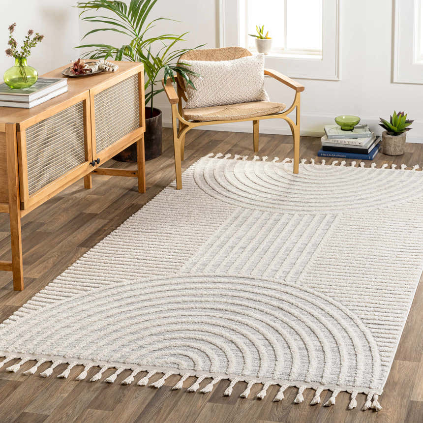 Living room scene with the Dauin 3D Rainbow Area Rug. Modern geometric rug in cream and gray with tassels. Wood furniture, plants. Roomscene-Rectangle