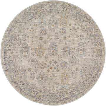 Close-up of round Coby Sage Avant Garde rug. Oriental pattern in brown, charcoal, sage, and teal. Luxe texture. Design-Round-53