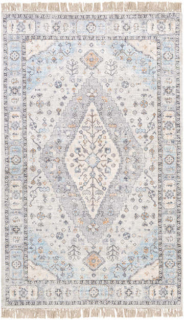 Close-up of Fernhurst Distressed Beige rug. Features traditional patterns in beige, blue, orange, gray, and cream with fringe. Design-Rectangle-576