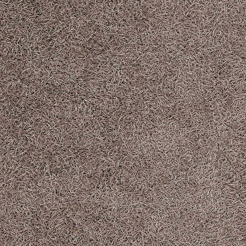 Close-up of the Browder Solid Brown Shag Rug. The rug has a dense, soft texture and a neutral brown color. Swatch
