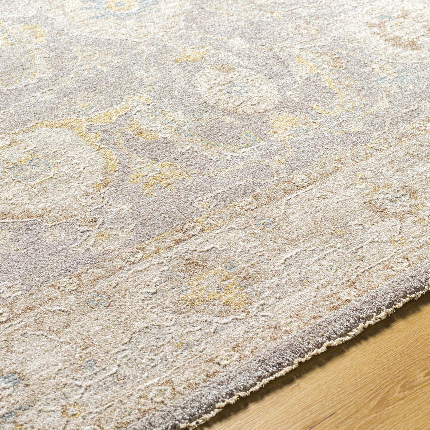 Close up of the Giang Thick Luxe Area Rug, showing beige, gray, and brown tones with a traditional pattern and plush texture. Texture