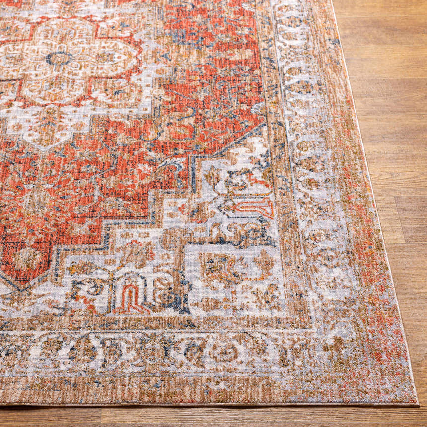 Close-up of the Himaao Area Rug. Beige, burnt orange, and charcoal oriental rug with a traditional design and soft texture. Front
