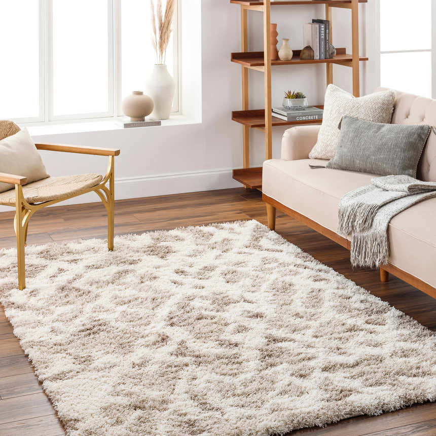 Living room scene with a beige Jase Shag Area Rug, light peach sofa, wood chair, and shelf for a cozy, transitional style. Roomscene-Rectangle