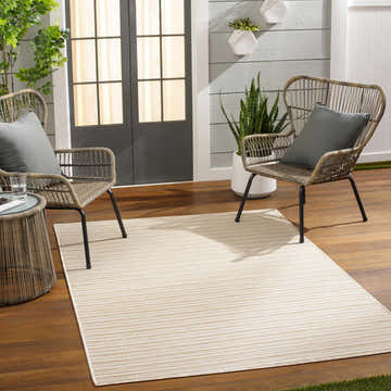 Outdoor patio scene with Greg Beige Area Rug, wicker chairs, gray cushions, and wood flooring. Roomscene-Rectangle