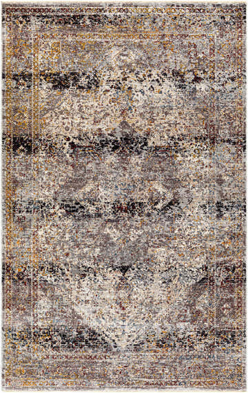Close-up of the Kaynakkaya Area Rug. Traditional oriental design in beige, black, gray, burnt orange, and dark red colors. Design-Rectangle-582