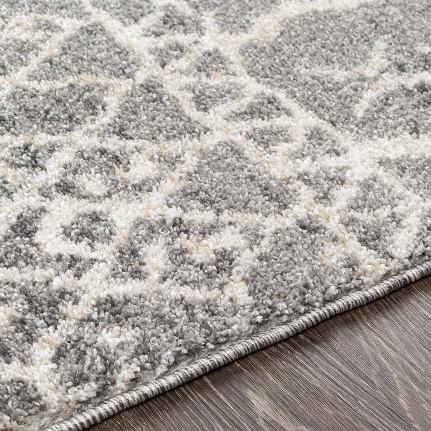 Close-up of the Kessingland Area Rug showing its beige, charcoal, and gray bohemian pattern and soft, textured pile. Texture