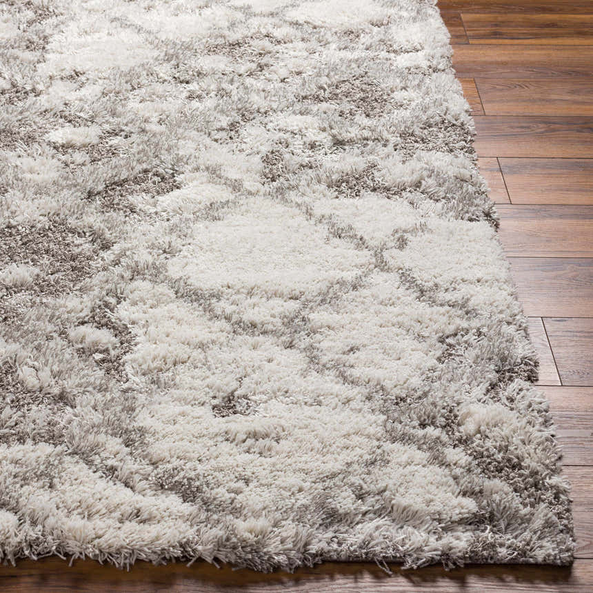 Close-up of the plush Kilgetty Gray Cloudy Shag Rug showing its soft texture and subtle gray and off-white pattern. Front