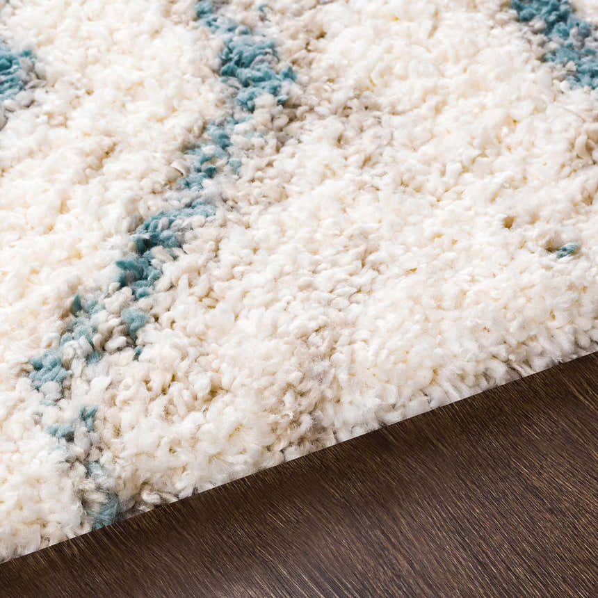 Close-up of the Lottery Area Rug showing a cream shag texture with blue and light beige accents. Texture