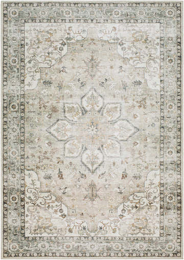 Detailed view of the Lotan Sage Medallion Washable Area Rug, featuring a traditional floral pattern in sage, gray, and taupe. Design-Rectangle-576