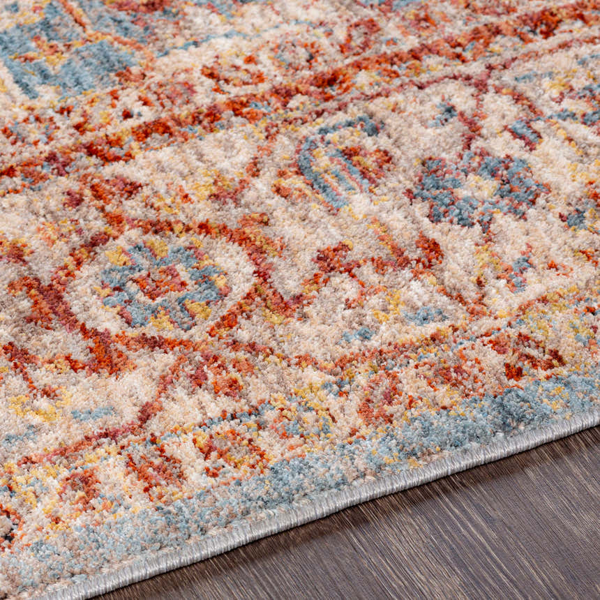 Close-up of the Lumpkin Area Rug showing brick red, charcoal, light beige, and pale blue colors. Oriental rug pattern. Texture