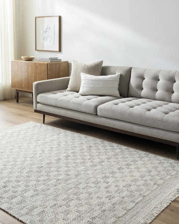 Living room scene with gray sofa and Meira Medium Gray Area Rug, a hand woven wool rug. Roomscene-Rectangle