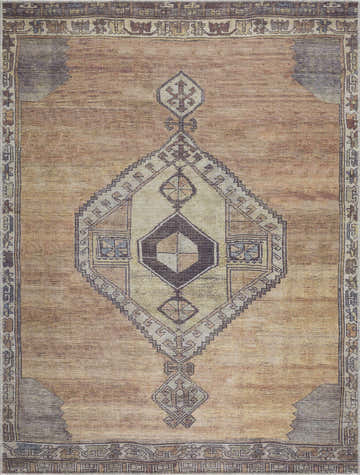 Close-up of the Medinah Washable Area Rug. Features a traditional oriental pattern in brown, camel, ivory, and dark brown. Design-Rectangle-537