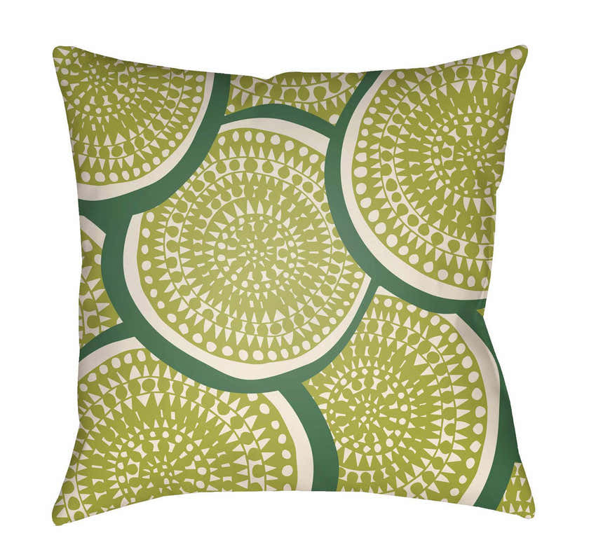 Milaor Outdoor Throw Pillow