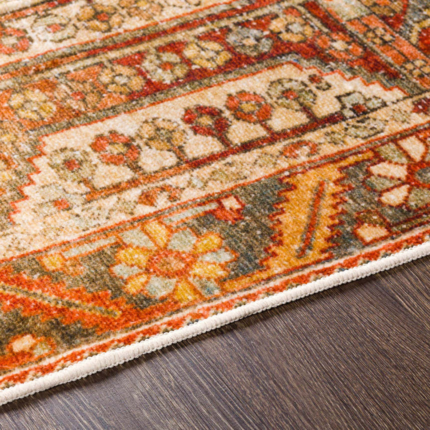 Close-up of the Mantalongon Washable Area Rug. Features a traditional, bohemian pattern in brick red, brown, and dusty sage. Texture