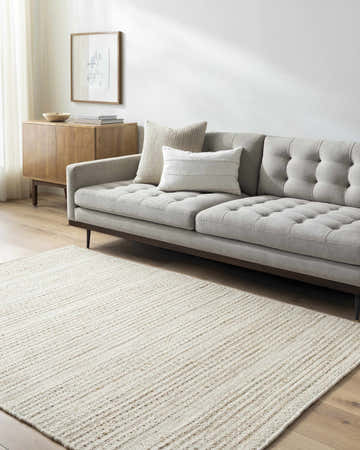 Living room scene with a gray sofa and a peach Moshe Area Rug. Roomscene-Rectangle