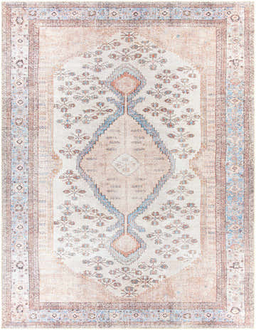 Close-up of the Moora Washable Area Rug, a traditional rug with aqua, brown, and coral floral patterns and a distressed finish. Design-Rectangle-710102