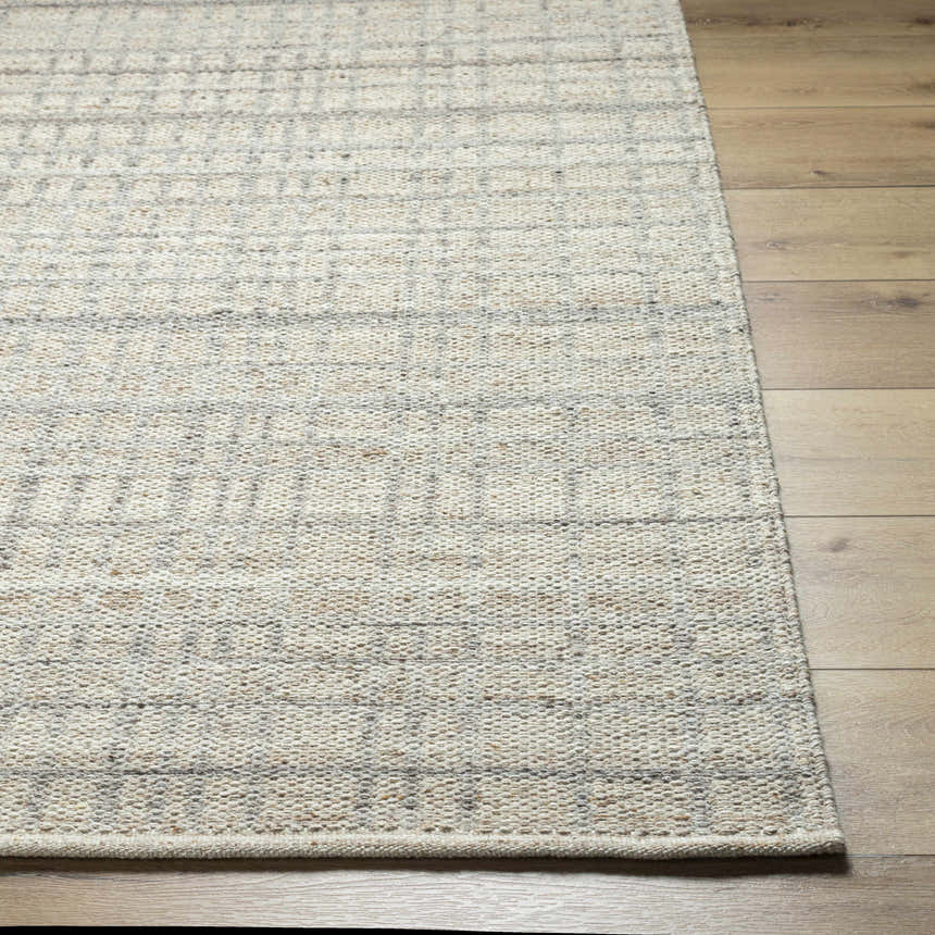 Close up of the hand woven Nissa Tan Area Rug showing its ivory, tan, and subtle grid pattern. Front