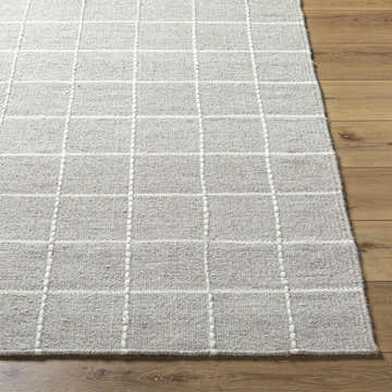 Close up of the hand woven Nissa Sterling Gray Area Rug with a farmhouse grid pattern on hardwood floor. Front