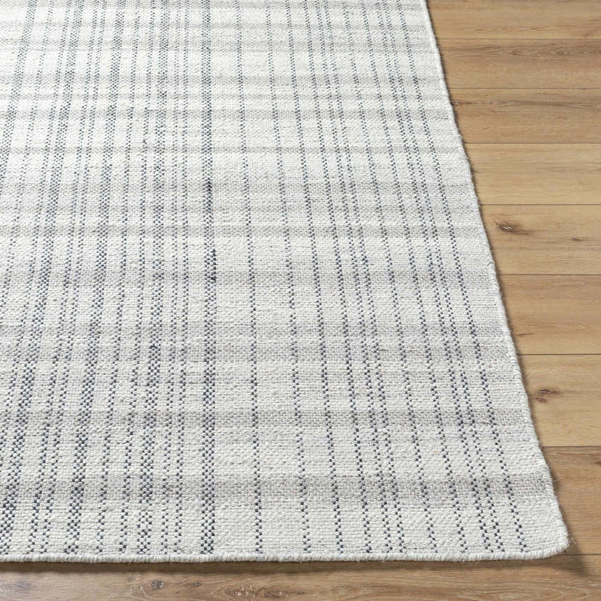 Close-up of the Nissa Blue Gray Checkered Area Rug showing its woven texture and light silver and gray checkered pattern. Front