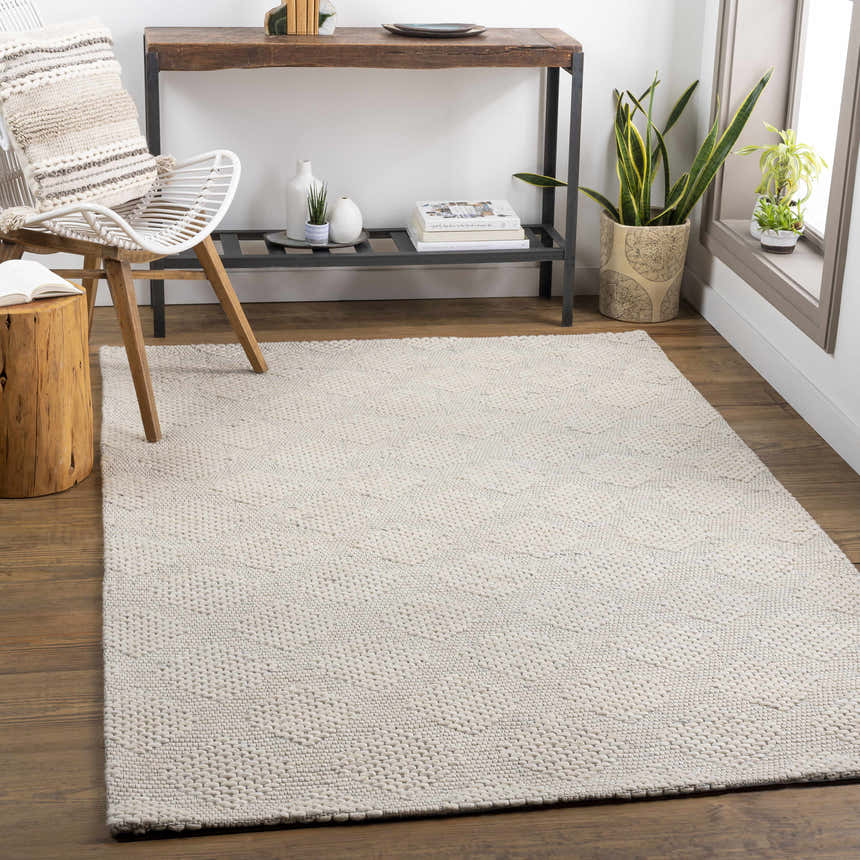 Scandinavian living room with ivory Ingram Area Rug, wood floors, console table, chair, and plants. Roomscene-Rectangle