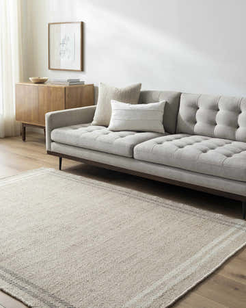 Living room scene with the Nimue Light Beige Area Rug, gray sofa, and wood cabinet. Roomscene-Rectangle