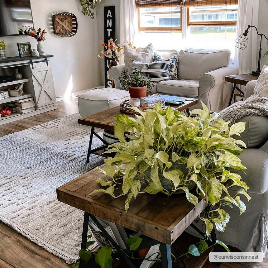 Cozy living room with light gray sofas and Poydras High-Low Rustic Rug in charcoal, gray, and beige. Farmhouse style. Roomscene-Rectangle