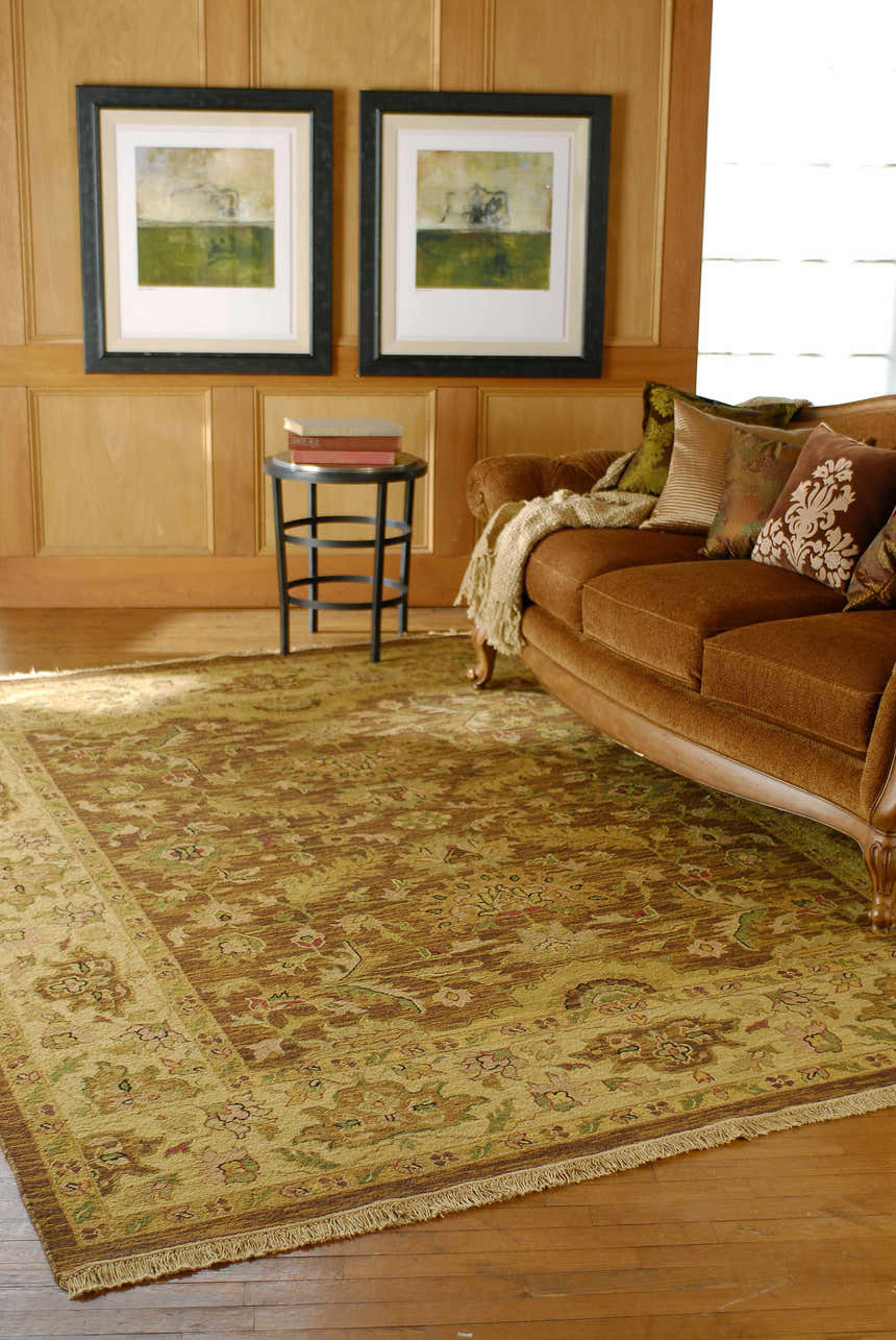 Living room scene with a beige and brown Palmview Area Rug, brown sofa, and wood paneled walls. Roomscene-Rectangle