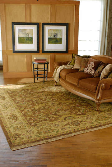 Living room scene with a brown sofa and the beige, brown Palmview Area Rug. Roomscene-Rectangle