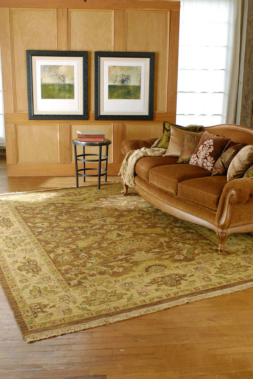 Living room scene with a brown sofa and the beige and brown Palmview Area Rug. Roomscene-Rectangle