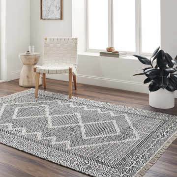 Bright living room with a bone and dark gray Rach Area Rug, woven chair, and wood accents. Roomscene-Rectangle