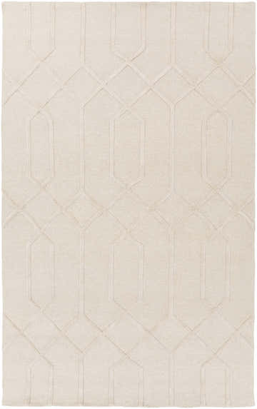 Beige Raritan Carpet close-up. Hand-knotted wool rug with a geometric diamond and striped pattern. Farmhouse style. Design-Rectangle