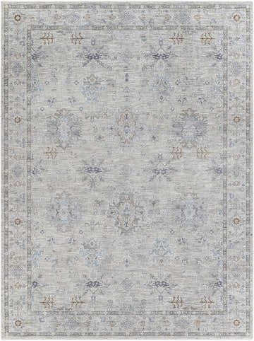 Detailed Rochedale Area Rug in cream, lavender, olive, and pale blue. Traditional floral and geometric pattern. Design-Rectangle-71010