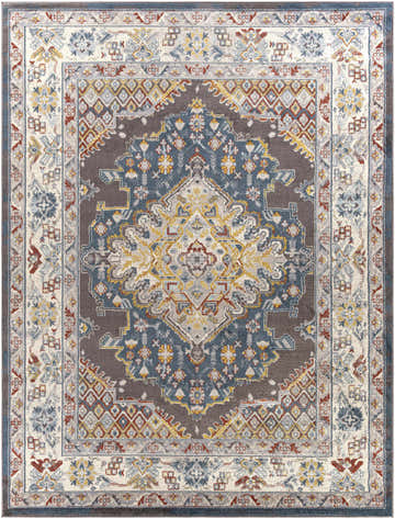 Detailed Haymond Brown Medallion Area Rug. Features brick red, charcoal, cream, and blue in a traditional pattern. Design-Rectangle-710103