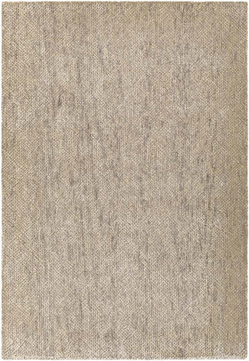 Close-up of the Rosaryville Area Rug. Light beige and medium gray tones create a textured, contemporary design. Design-Rectangle-576