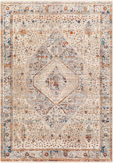 Close-up of the Roy Boutique Area Rug. Beige rug with blue, burnt orange, and charcoal traditional oriental pattern. Design-Rectangle-582