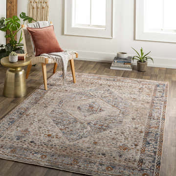 Living room scene with Roy Boutique Area Rug in beige, blue, and burnt orange tones. Farmhouse style chair and plants. Roomscene-Rectangle