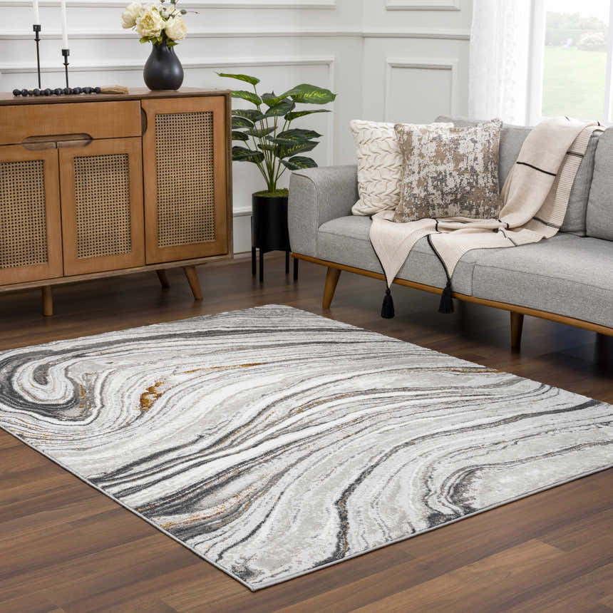 Living room scene with gray sofa and Live Marble Dark Gray Area Rug on wood floor. Roomscene-Rectangle