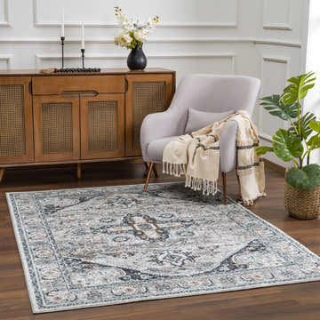 Living room scene with a Liverpool Gray & Blue Area Rug, gray chair, wood cabinet, and monstera plant. Roomscene-Rectangle