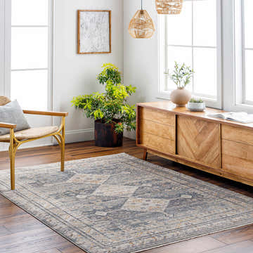 Living room scene with a gray and beige Lyam Luxe Rug, wooden furniture, plants, and natural light. Roomscene-Rectangle
