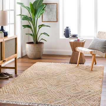 Living room scene with a jute Dunne Area Rug, wood furniture, and a large potted plant. Roomscene-Rectangle