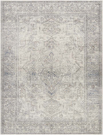 Close-up of the Margot Medallion Light Gray rug, a traditional design in light gray, brown, and charcoal. Design-Rectangle-71010