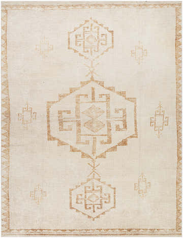 Close-up of Solona Medallion Dusty Pink rug. Beige rug with light brown geometric medallion pattern and border. Design-Rectangle-71010
