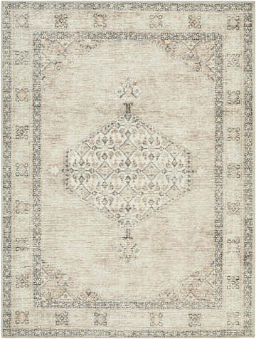 Close-up of the Lila Medallion Brown Area Rug, showcasing its beige, brown, and gray traditional medallion pattern. Design-Rectangle-537