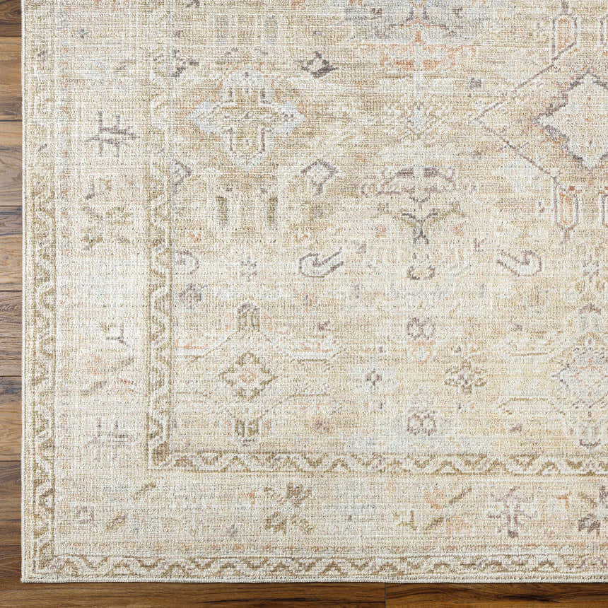 Close up of Marlene Damask Light Brown Area Rug by Becki Owens x Livabliss, with cream, brown, and coral tones. Corner