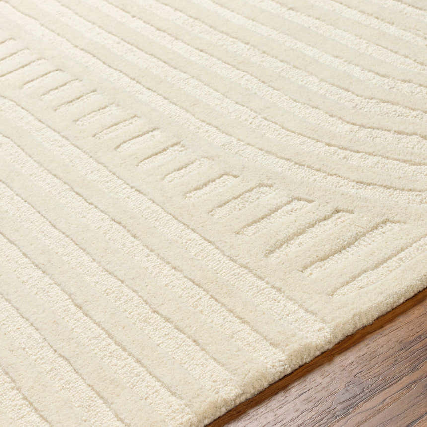 Close up of the textured, striped pattern on the Whan Off White Area Rug. Texture